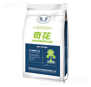 �������@-�滨-�ŝ�