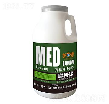 促梢引導劑-英朗特