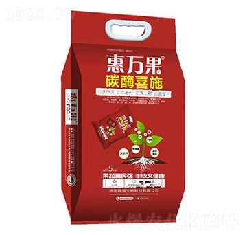 ̼øϲʩ-���f��-������