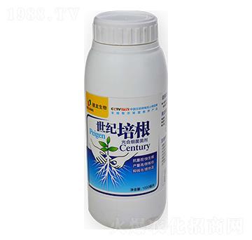 ��ϼ�������-���o���-��������