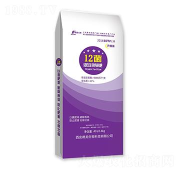 12�����������ЙC��-��������