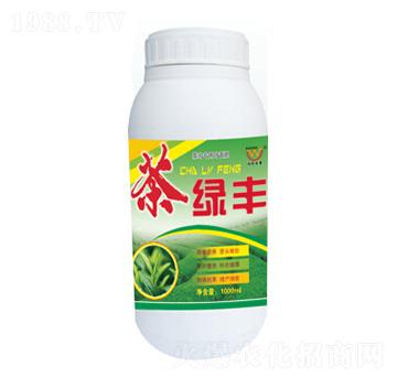 ��G�S�~���-�������