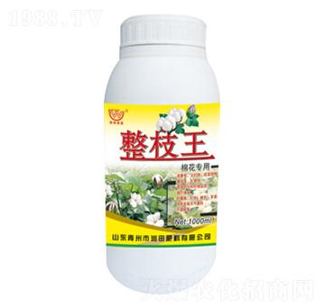 ��֦���~���-�������