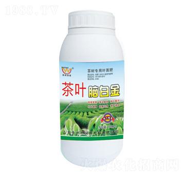 ƿ�b���~�X�׽�-�����