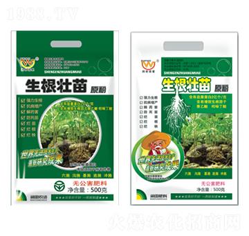 ��������ԭ��-�������