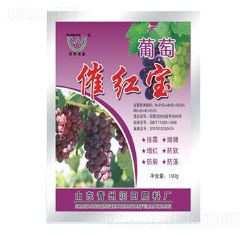 ���Ѵ߼t��-�������