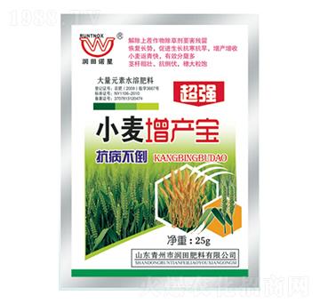 С�����a(ch��n)��-�������