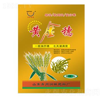 �S�����~���-�������