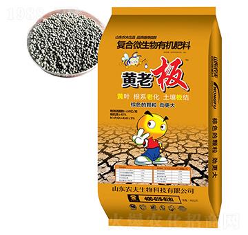 ��(f��)��΢�����ЙC(j��)����-�S�ϰ�-�r(n��ng)��