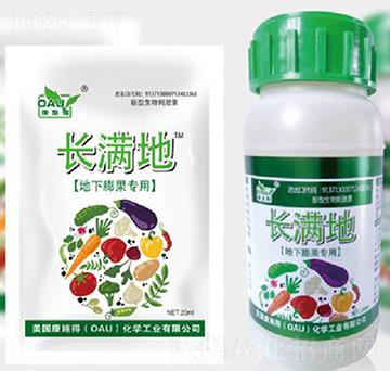 �����������-�L(zh��ng)�M��-