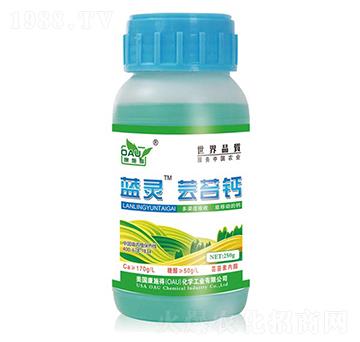 �{(l��n)�`�|̦�}-��ʩ��