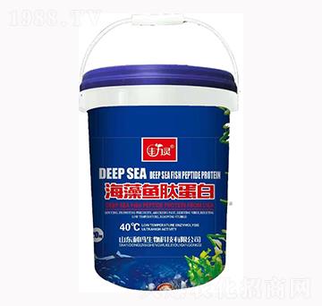 �����~�ĵ���-�S���`-��������