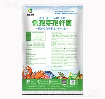 ����ѿ�ߗU��-�r������