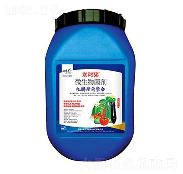 ΢���������-����ĸ�����ϣ�-�l(f��)ؔ�i-�ﲩʿ