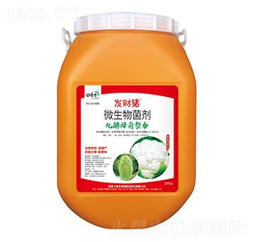 ����ĸ������΢�������-�l(f��)ؔ�i-�ﲩʿ