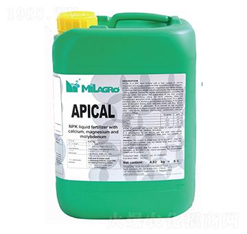 �����{Ƥ�}-���h