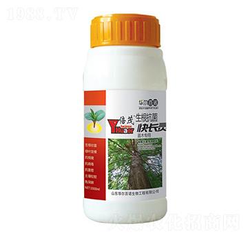 苗木專(zhuān)用生根抗菌快長(zhǎng)靈-華爾百諾