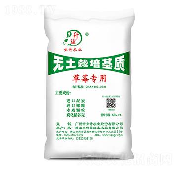 ��ݮ���ßo��������|(zh��)-�����r(n��ng)�I(y��)