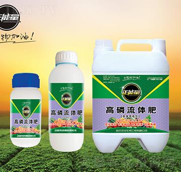 ���������͸������w��-������