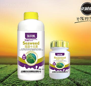 ����ʮԪ��-����ķ-������