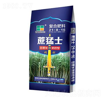 ��(f��)�Ϸ���21-8-16-����ʿ-����