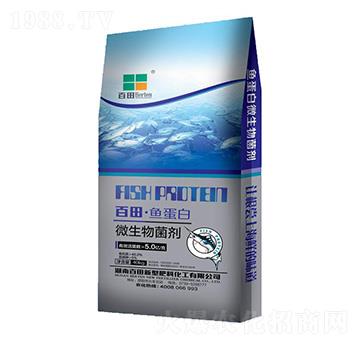 ΢�������-�����~����