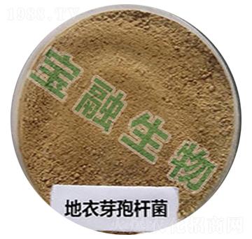 地衣芽孢桿菌-寶融生物