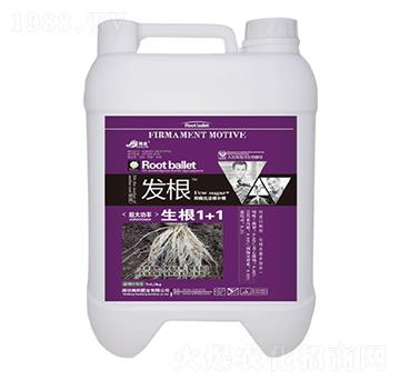 ����ֲ��ˮ�ܷ���-����