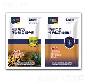 �������������-��(x��)����