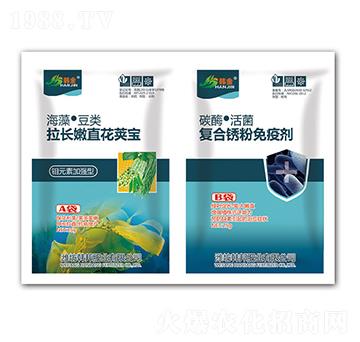 ���L(zh��ng)��ֱ��Ӣ��+��(f��)���P