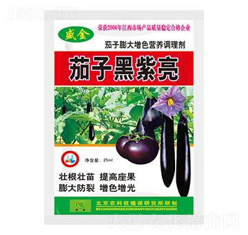 茄子膨大增色營養(yǎng)調(diào)理劑-茄子黑紫亮-盛金-圣金肥業(yè)