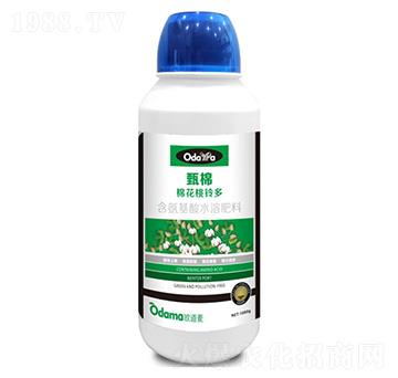 棉花桃鈴多-甄棉-歐道麥