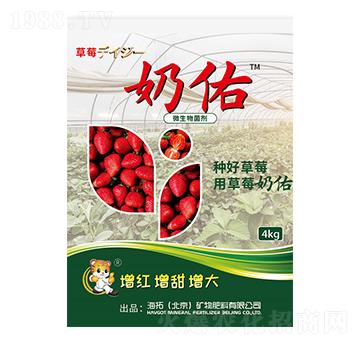 ΢�������-��ݮ����-����