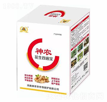 �����ı錚-�������r(n��ng)