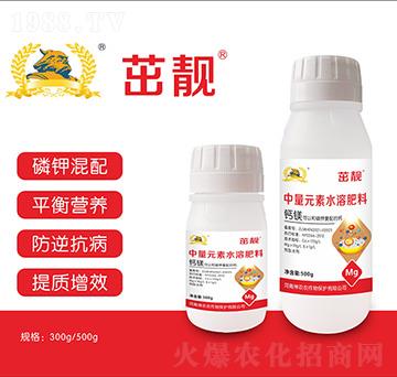 ����Ԫ���}�V��-������