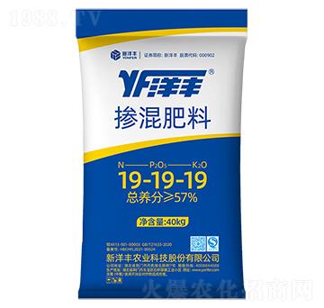 �������19-19-1