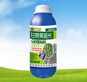 ����ڴ��L-���ؠ��r(n��ng)��