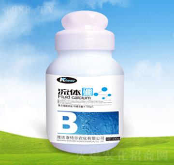 ƿ�b���w��-���ؠ��r��