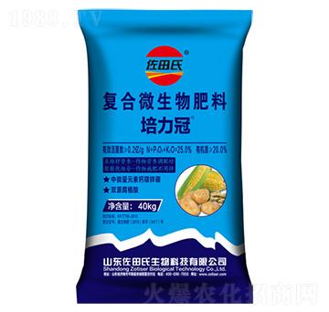 �����ڏͺ�΢�������-������