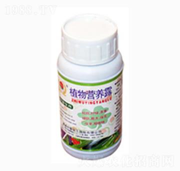 植物營(yíng)養(yǎng)露-齊民豐農(nóng)業(yè)