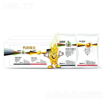 1%嘧菌·噁霉靈顆粒劑+0.5%噻蟲(chóng)胺顆粒劑-約啟組合-約克農(nóng)化