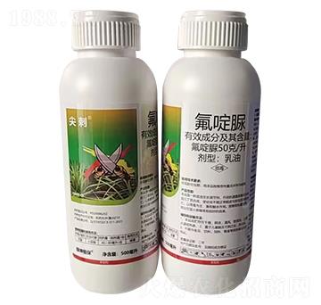 50��/�����������-���-�G������