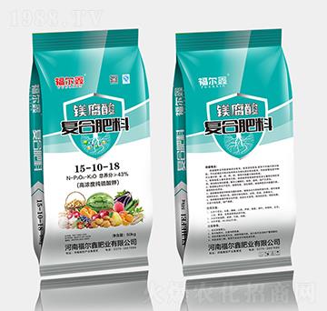 �V�����(f��)�Ϸ�15-10