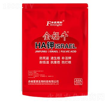 金福牛HA鉀（ISRAEL）-和潤(rùn)農(nóng)業(yè)
