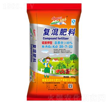 ������͏�(f��)�����20-