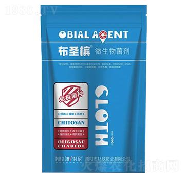 ��ʥ����΢�������-��