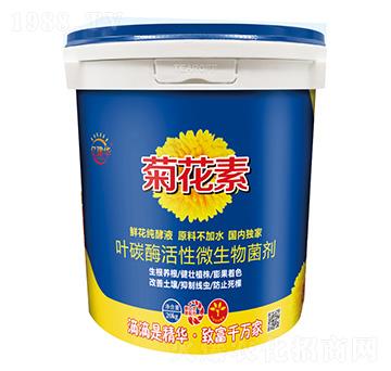 葉碳酶活性微生物菌劑-菊花素-億建華-建華農(nóng)業(yè)