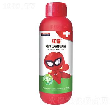 �t�b-��󲻿�����-��